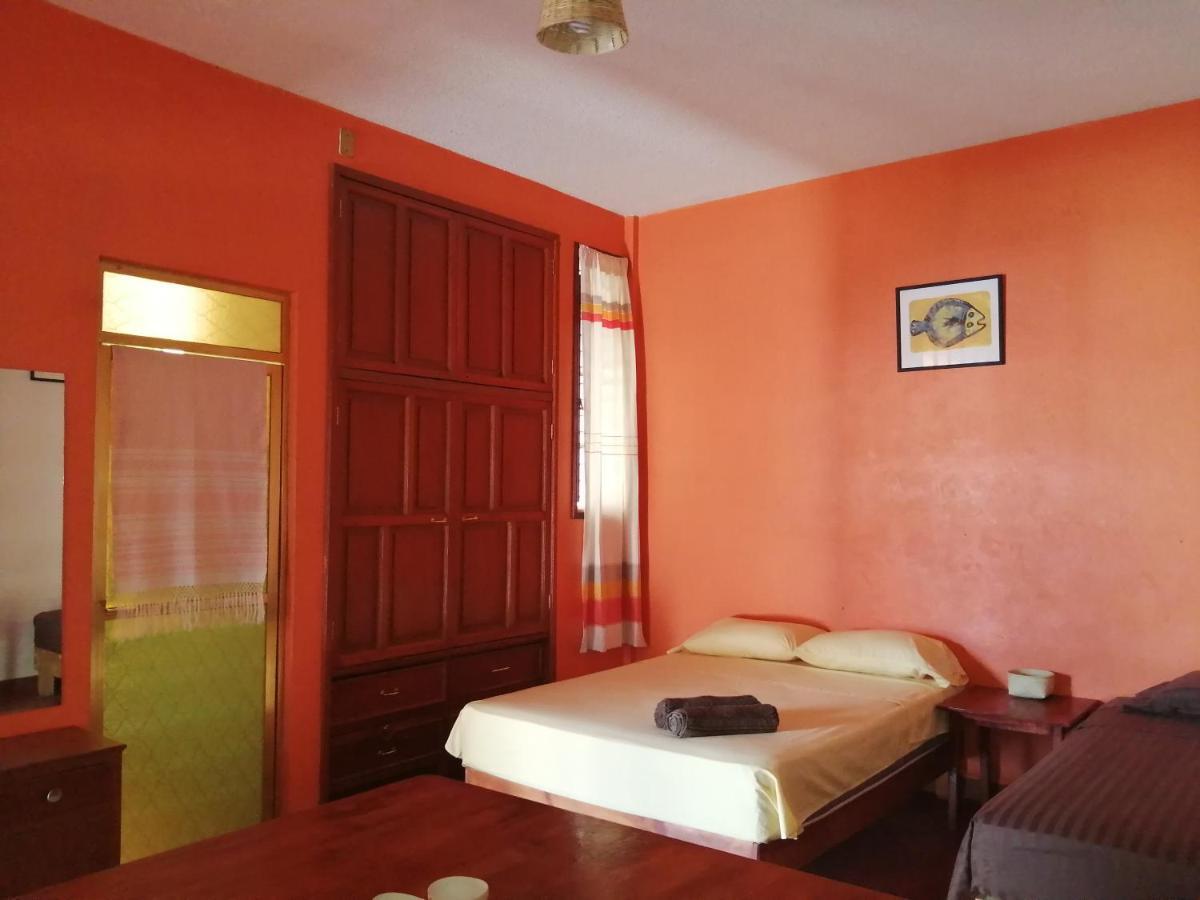 Hostal Alegria De Oaxaca Экстерьер фото